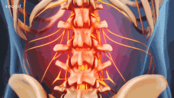 1688899402164995.gif 18.gif